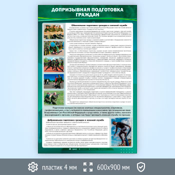 Стенд «Допризывная подготовка граждан» (VU-10-ECONOMY2)